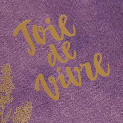 Книга «Joie de vivre. Секреты счастья по-французски» под нанесение логотипа