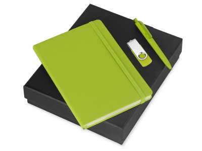 Подарочный набор Vision Pro Plus soft-touch с флешкой, ручкой и блокнотом А5 под нанесение логотипа