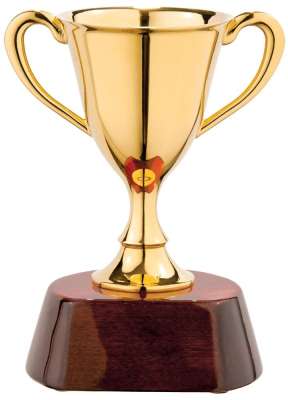 Награда «Кубок» под нанесение логотипа