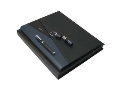 Подарочный набор Lapo: папка А4, USB-флешка на 16 Гб, ручка роллер под нанесение логотипа