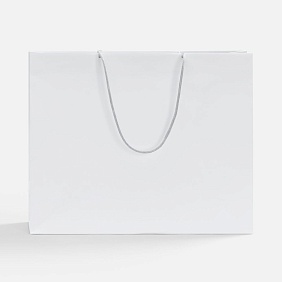Пакет бумажный Pacote, L, белый с логотипом, рис. 3 — Пакеты с логотипом BIZGIFT