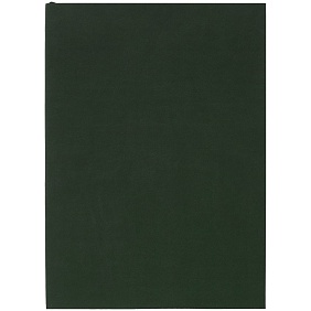 Ежедневник Flat Light, недатированный, зеленый с логотипом, рис. 1 — Ежедневники BIZGIFT