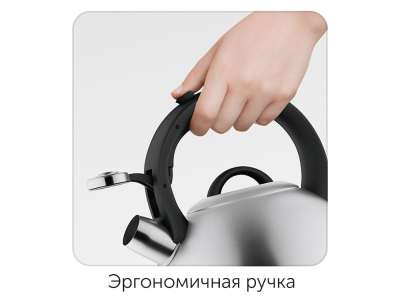 Чайник со свистком IRMA, 3 л под нанесение логотипа