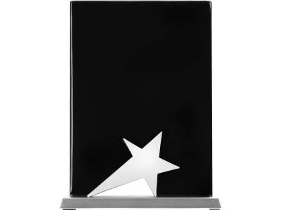 Плакетка Звезда под нанесение логотипа