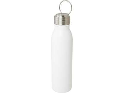 Бутылка для воды с металлической петлей Harper, 700 мл под нанесение логотипа