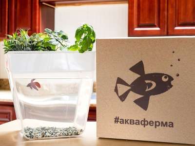 Набор для выращивания растений и ухода за рыбкой Акваферма под нанесение логотипа