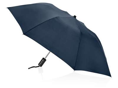 Зонт складной Андрия под нанесение логотипа