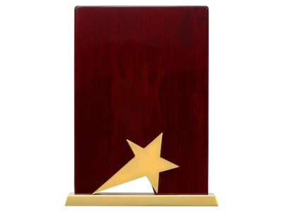 Награда Galaxy под нанесение логотипа