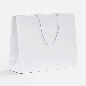 Пакет бумажный Pacote, L, белый с логотипом, рис. 1 — Пакеты с логотипом BIZGIFT