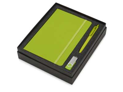 Подарочный набор Vision Pro Plus soft-touch с флешкой, ручкой и блокнотом А5 под нанесение логотипа
