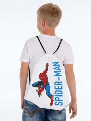 Рюкзак Spider-Man под нанесение логотипа